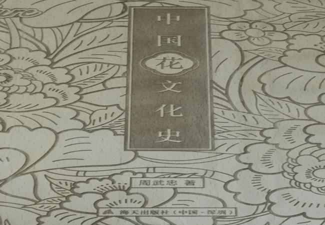 木製封麵（miàn）激光雕刻