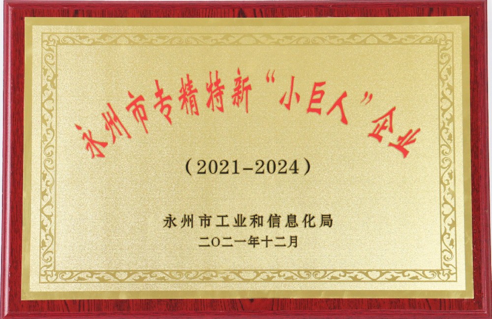 永州市（shì）專精特新“小巨（jù）人”企業（yè）